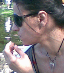 butterflybug