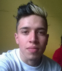 avs09d